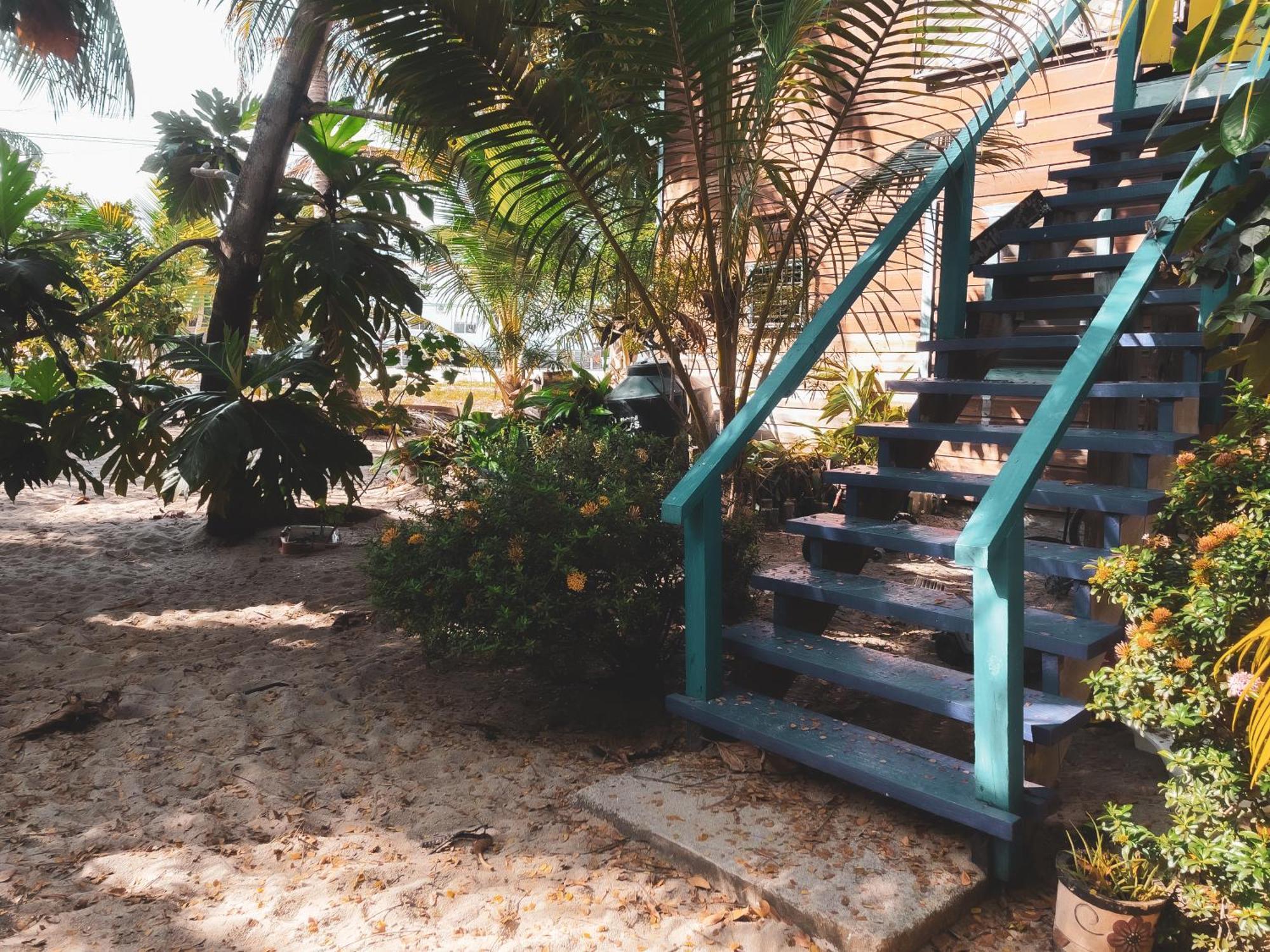 Anda Di Hows Hostel Placencia Eksteriør billede