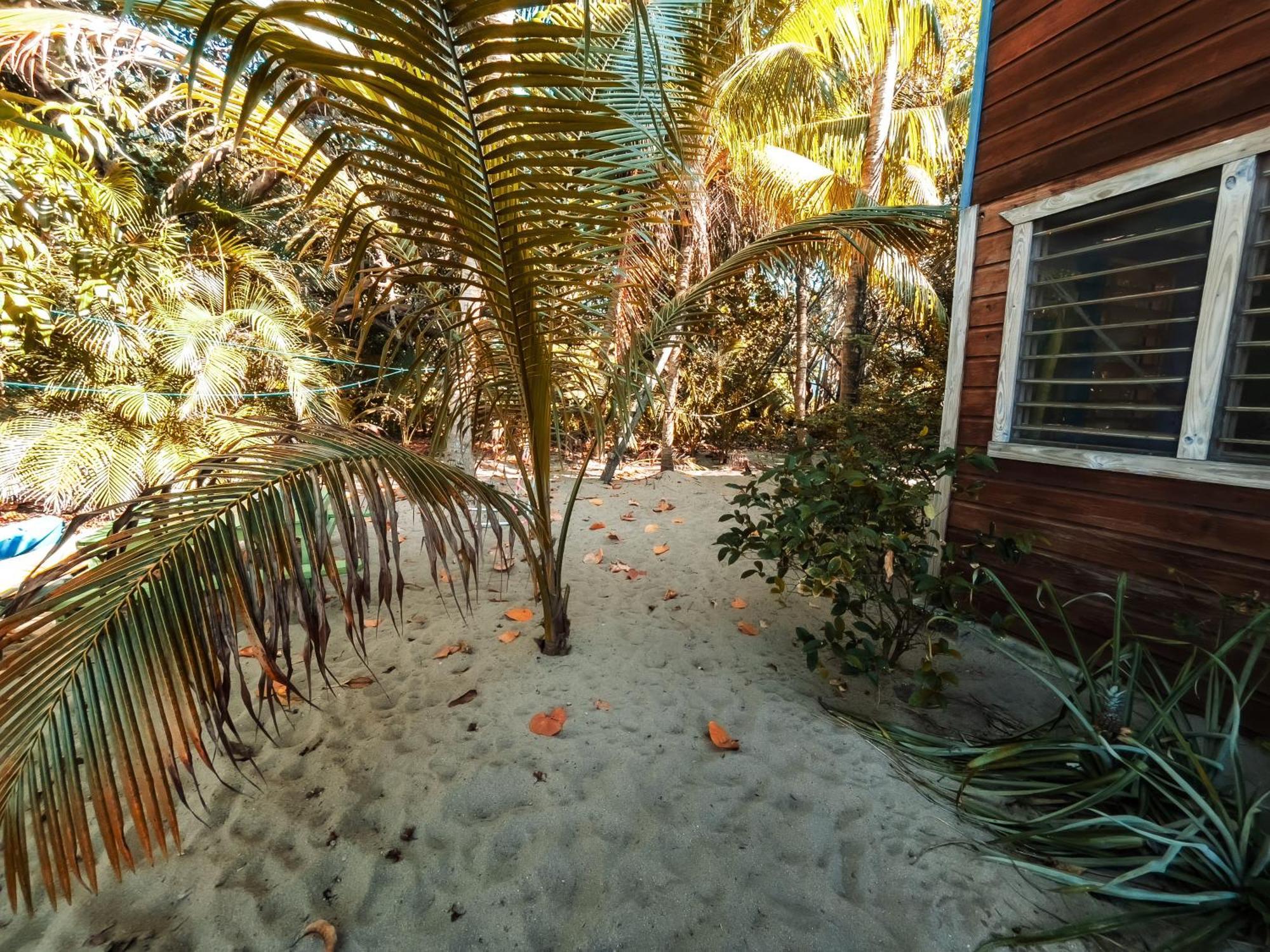 Anda Di Hows Hostel Placencia Eksteriør billede