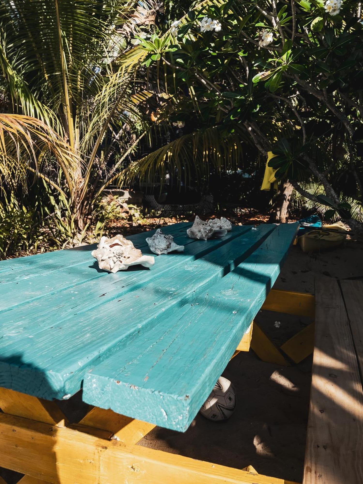 Anda Di Hows Hostel Placencia Eksteriør billede