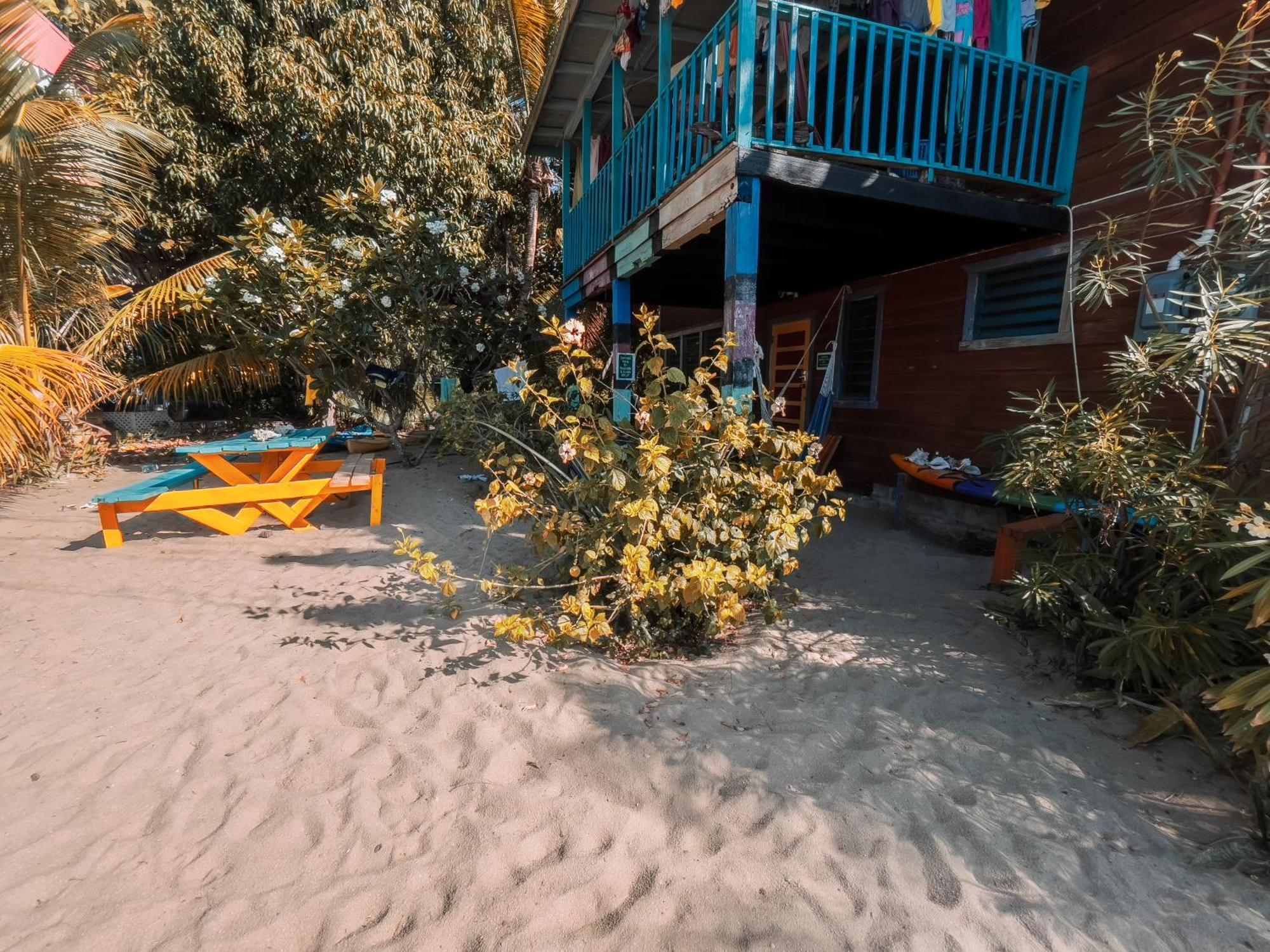 Anda Di Hows Hostel Placencia Eksteriør billede