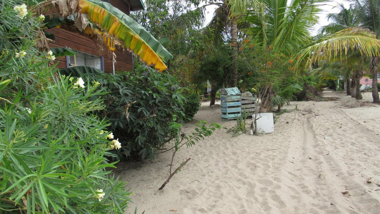 Anda Di Hows Hostel Placencia Eksteriør billede