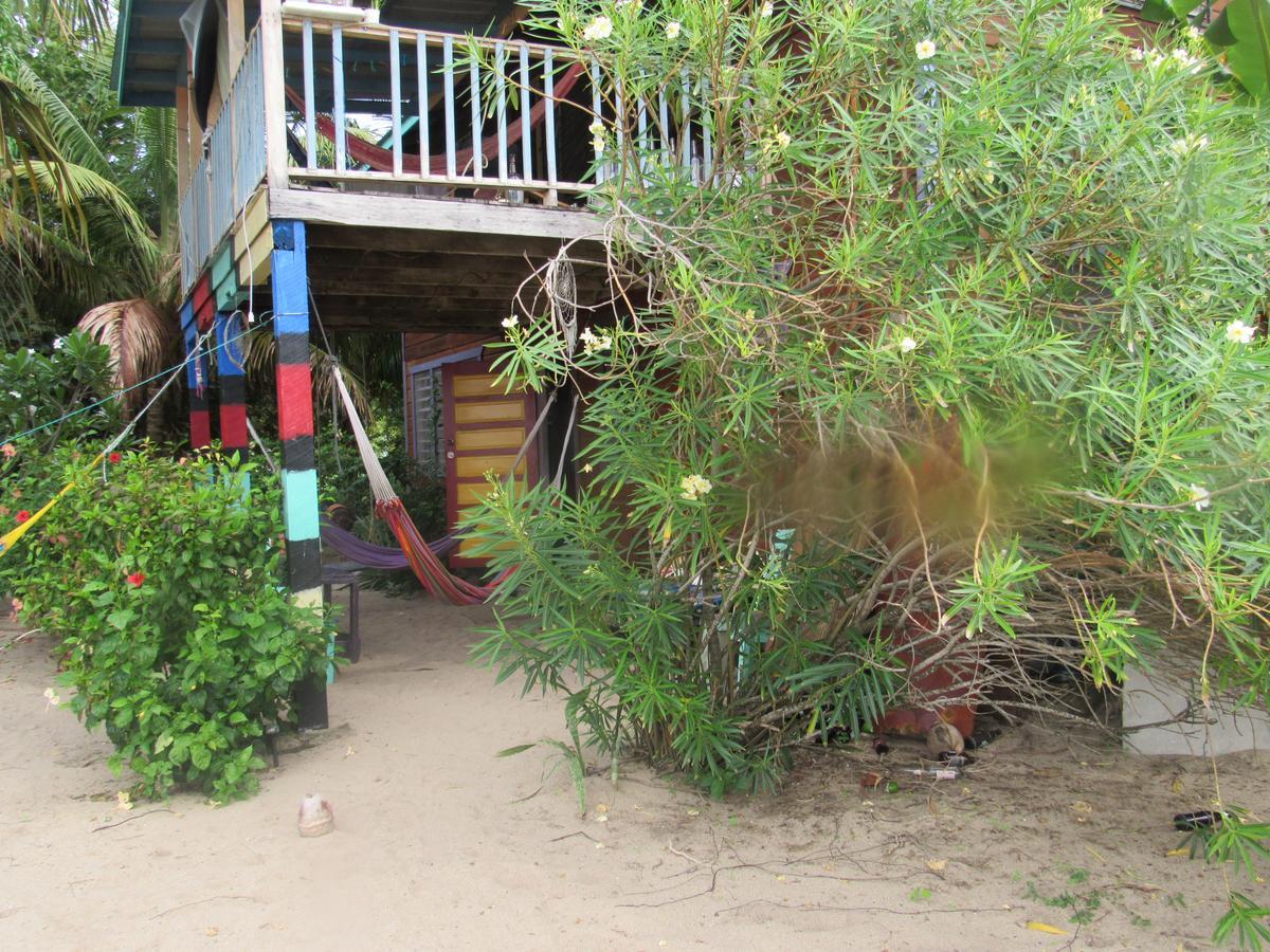 Anda Di Hows Hostel Placencia Eksteriør billede
